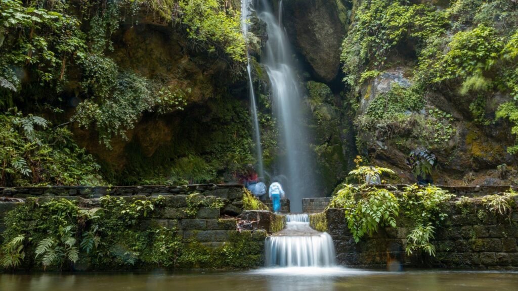 jibhi himachal -Manocha tour and travel